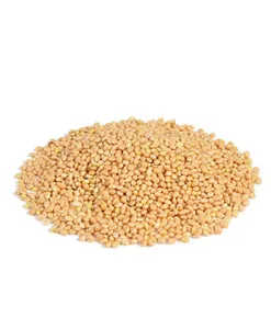 RIO Sunflower seeds (1 kg — ART. 21141)