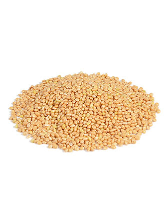 RIO Sunflower seeds (1 kg — ART. 21141)