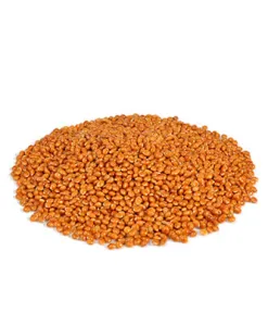 Little One "Green valley". Fibrefood for degus (15 kg — ART. 31144)