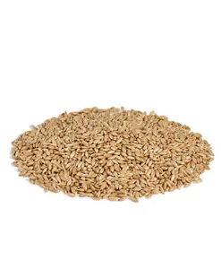 RIO Eggfood for parakeets and parrots (18 kg — ART. 21201)