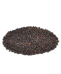 Little One snack Herbal crunchies (100 g — ART. 32020)