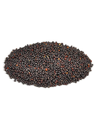 Little One snack Herbal crunchies (100 g — ART. 32020)