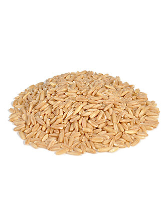 Little One snack Dried carrot (200 g — ART. 32050)