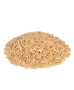 Little One snack Dried carrot (200 g — ART. 32050)