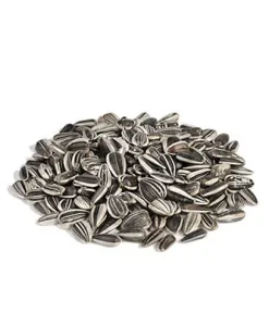 RIO Wild seeds mix. Treat for all types of birds (240 g — ART. 22230)