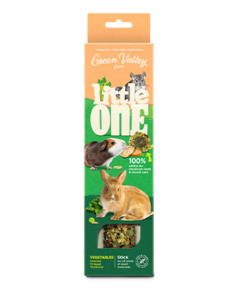 RIO Healthy seeds mix. Treat لـ all types of birds (240 g — ART. 22220)