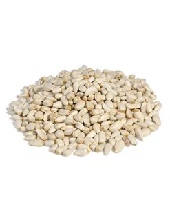 Longside Bonding treats for horses. Tasty cherry (500 g — ART. 82020)