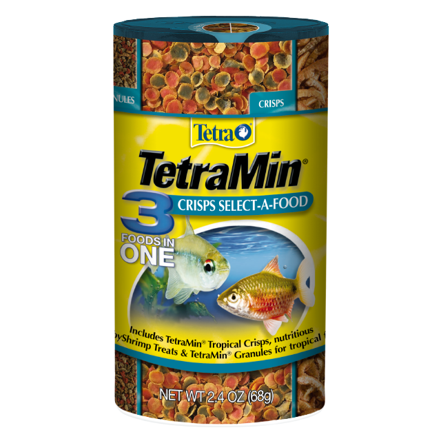 Goldfish Cleaning Bacteria
