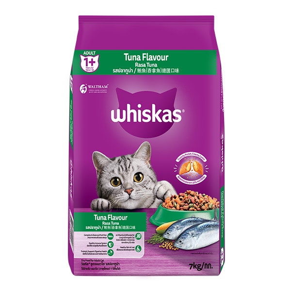 Vacation Tropical Feeding Block