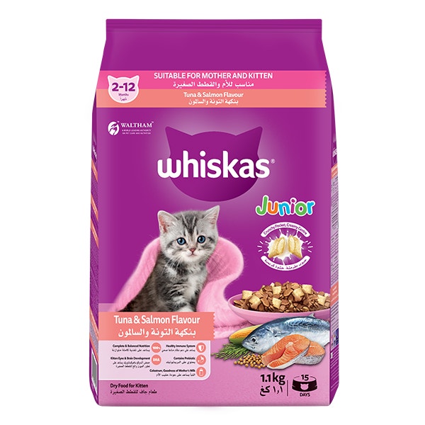 Kippy باتيه rich in دجاج قطط بالغة علبة 14.11 oz
