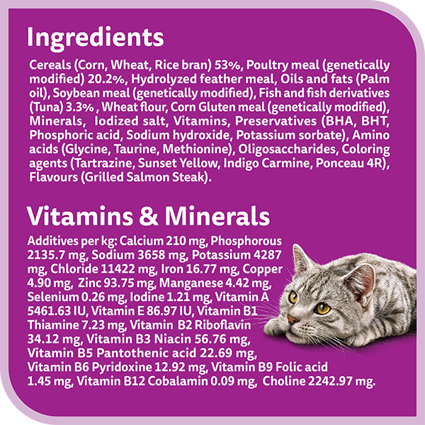 Kippy Paté rich in TUNA Adult cat Can 14.11 oz