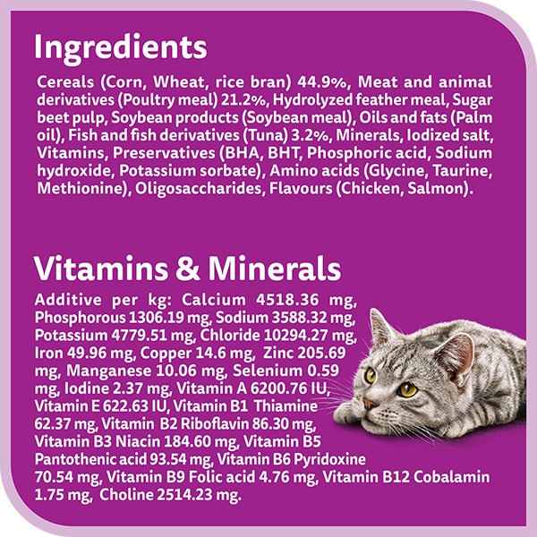 Kippy Paté rich in CHICKEN Adult cat Alu-cup 3,17 oz