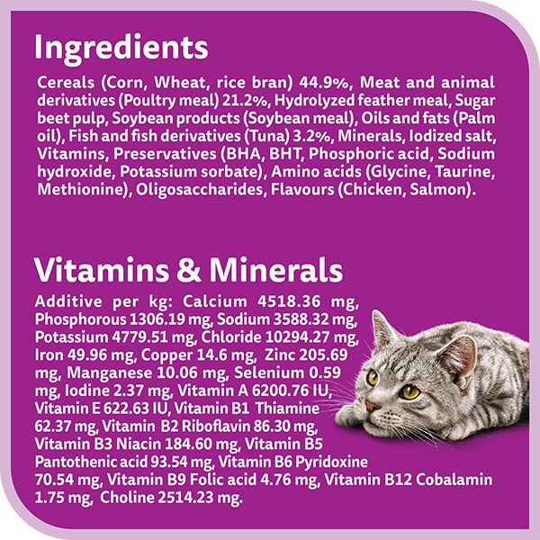 Kippy Paté rich in CHICKEN Adult cat Alu-cup 3,17 oz
