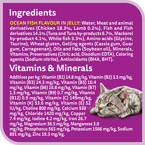 Kippy Paté rich in BEEF Adult cat Alu-cup 3,17 oz