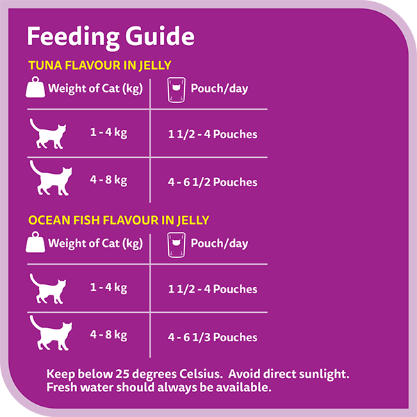 Kippy Paté rich in BEEF Adult cat Alu-cup 3,17 oz